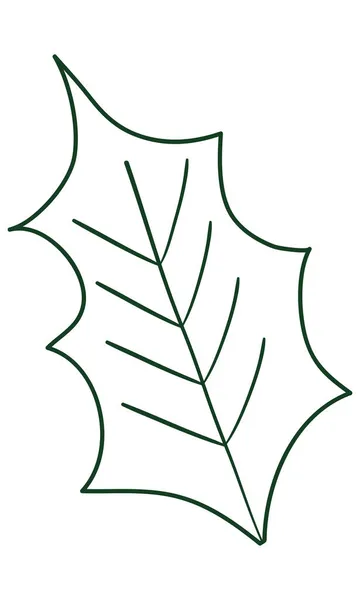Dessin de feuille de gui — Image vectorielle