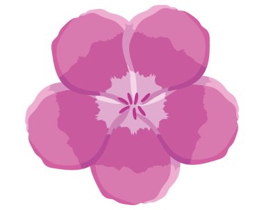 sardunya çiçeği simgesi