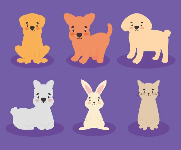 Lindo mascotas icono conjunto — Vector de stock