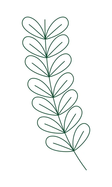 Декоративная ветвь с листьями — стоковый вектор