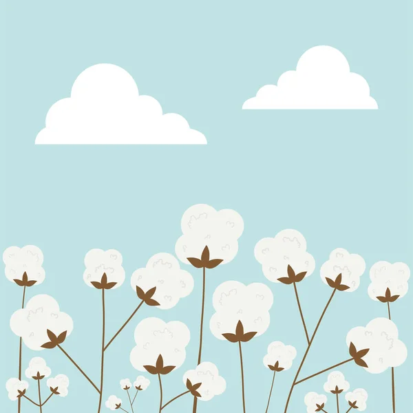 Cotton field Vector Art Stock Images Depositphotos