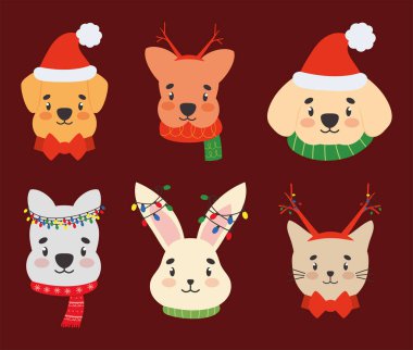 Noel evcil hayvan seti