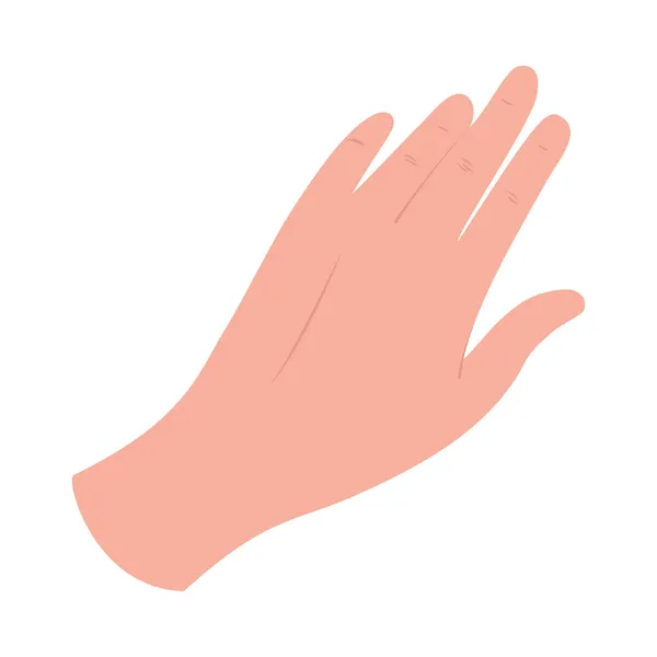 Pictogram van een vrouwelijke hand — Stockvector