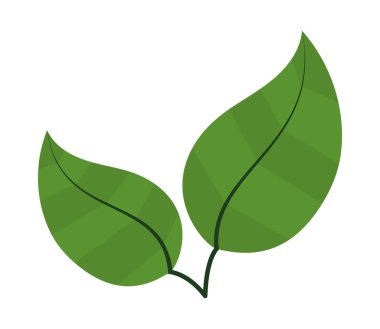 simge görüntüsünü bırakır