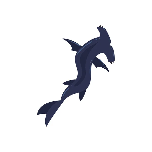 漂亮的鲨鱼锤头鱼 — 图库矢量图片