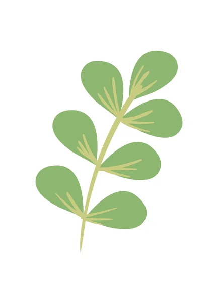 Branche aux feuilles ovales — Image vectorielle