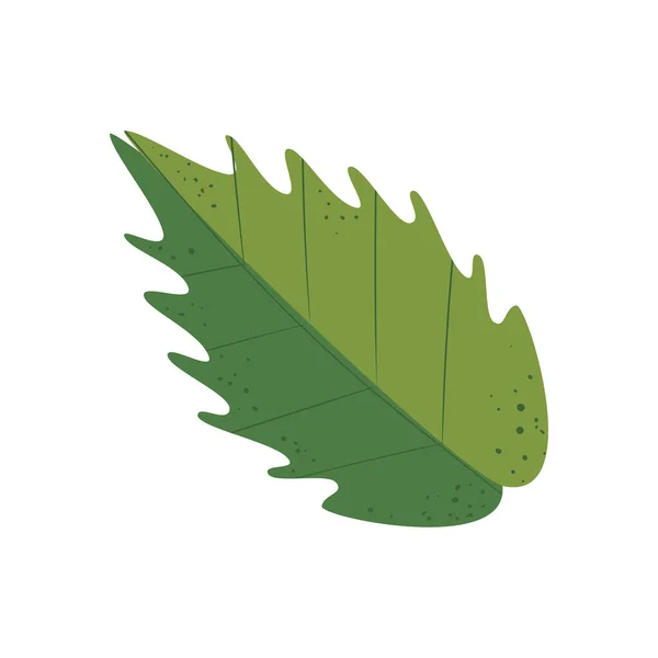 Grande feuille verte — Image vectorielle
