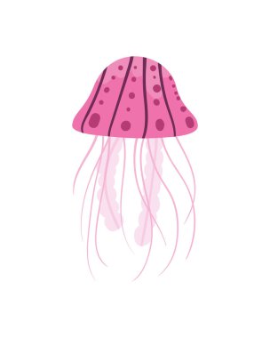 Güzel denizanası tasarımı