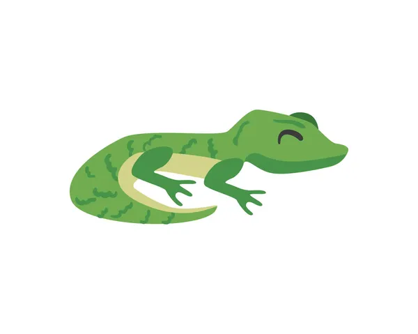 Joli design gecko — Image vectorielle