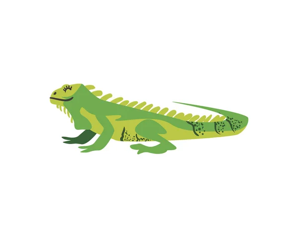 Bonito diseño de iguana — Vector de stock