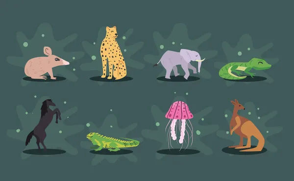 8匹の素敵な動物 — ストックベクタ