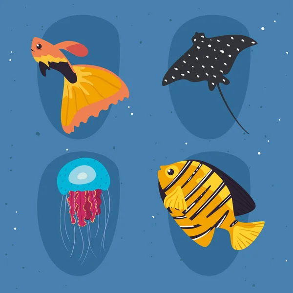 네 가지 해양 생물 — 스톡 벡터