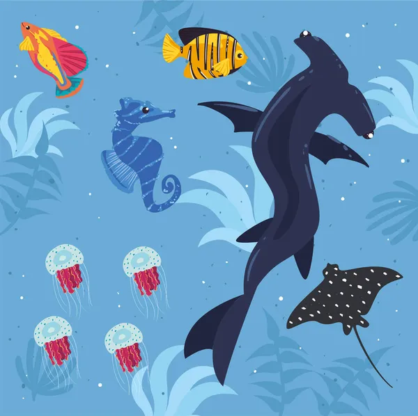 수중 생물 포스터 — 스톡 벡터