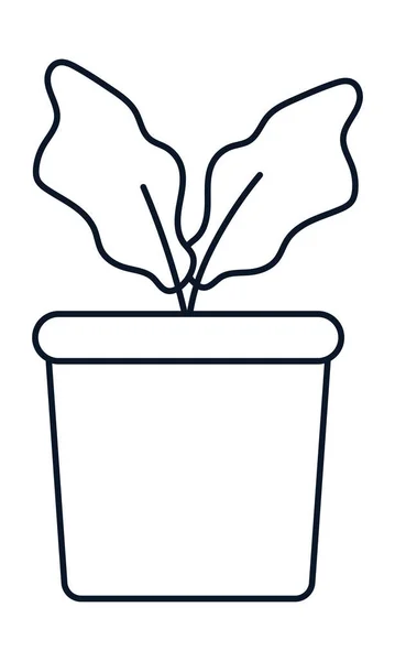 Plantera i en kruka ikon — Stock vektor