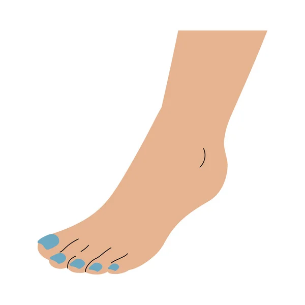 Foot with blue nails — Stock Vector