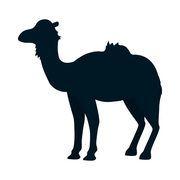 Ícone de camelo imagem — Vetor de Stock