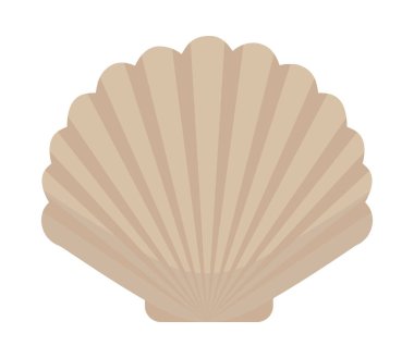 Seashell simge görüntüsü