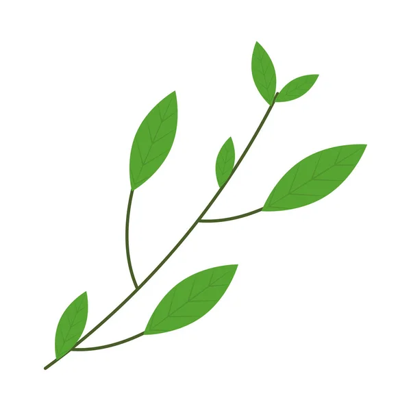 Branche avec feuilles — Image vectorielle