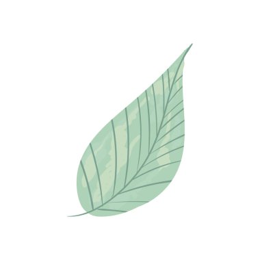 Suluboya yaprak illüstrasyon