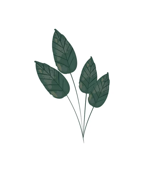 Illustration feuilles aquarelle — Image vectorielle