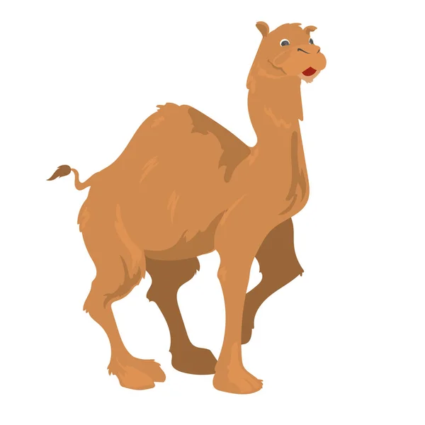 Sevimli deve tasarımı — Stok Vektör