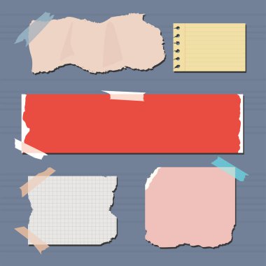 Beş yırtık kağıtları