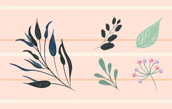 Cinq feuilles aquarelle — Image vectorielle