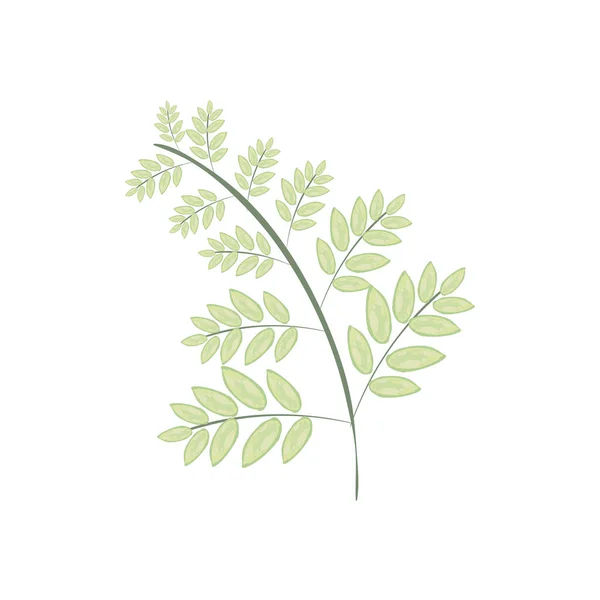 Aquarelle feuilles icône — Image vectorielle