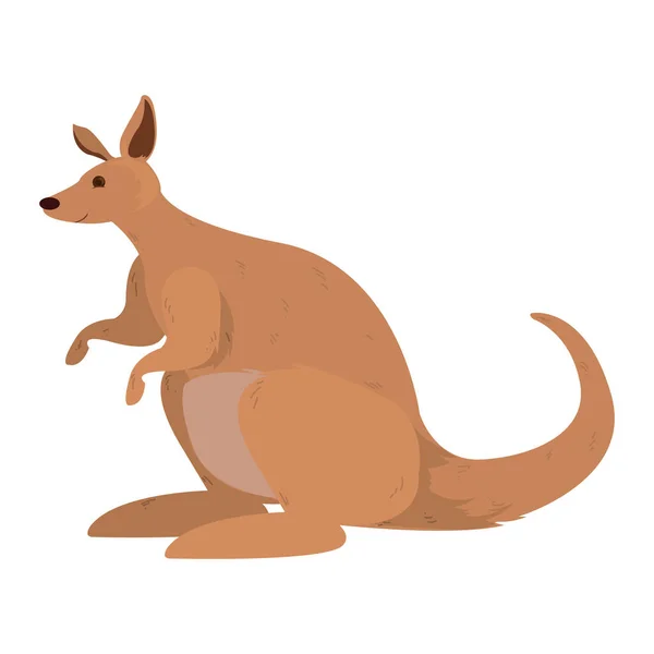 Brown kangoroo illustration — Stock Vector