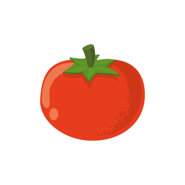 Czerwony pomidor ilustracja — Wektor stockowy