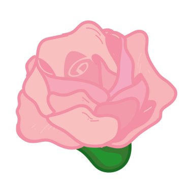 pembe gül tasarımı