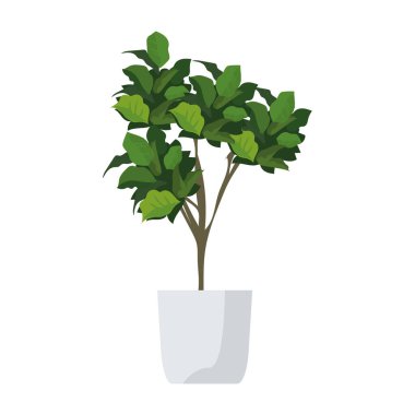 Şirin bitki çizimi