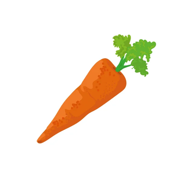 Karottendesign in Orange — Stockvektor