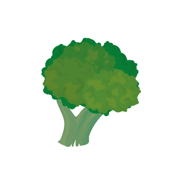 Disegno broccoli verdi — Vettoriale Stock