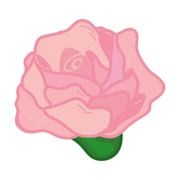 Σχεδιασμός ροζ τριαντάφυλλου — Διανυσματικό Αρχείο