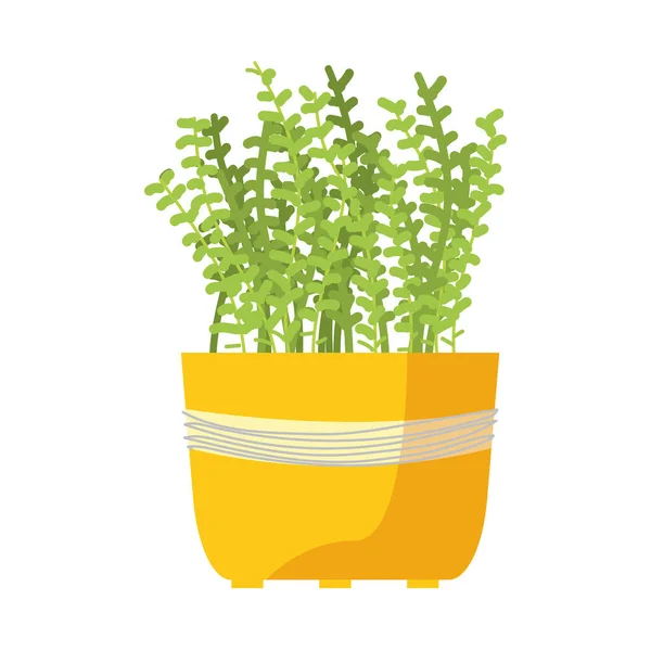 Pretty plant design — Stock Vector