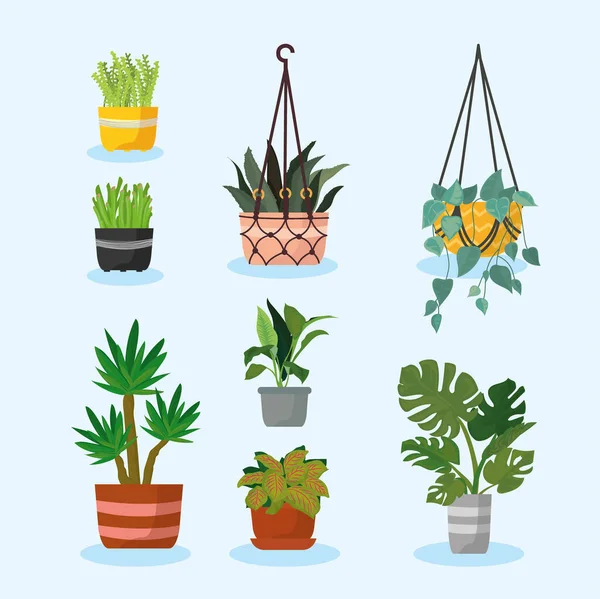 Osm ikon zavěšených rostlin — Stockový vektor
