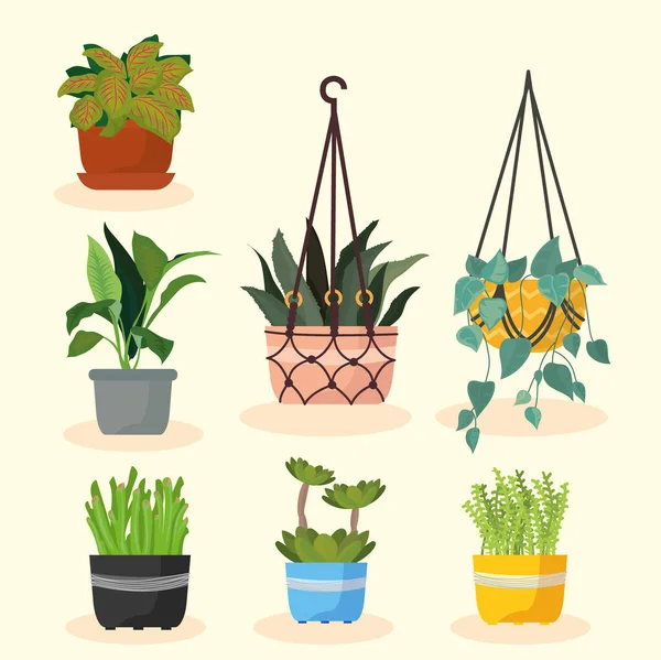Seven hanger plants items — 图库矢量图片