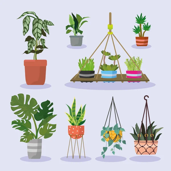 Eight hanger plants — 图库矢量图片