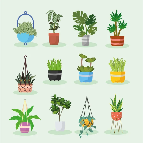 Twelve hanger plants items — 图库矢量图片