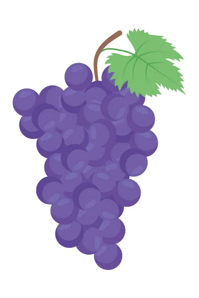 Egy csomó szőlő — Stock Vector