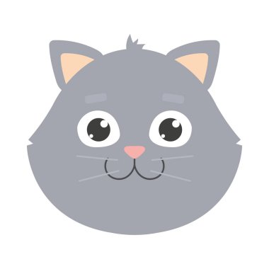 Gri kedi yüz