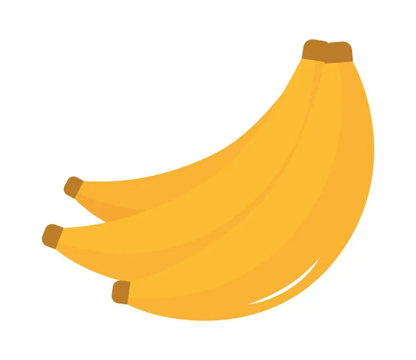 Жовтий дизайн бананів — стоковий вектор