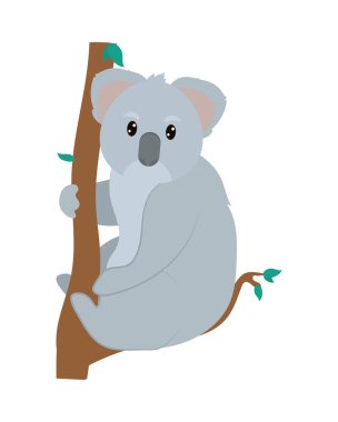 bir ağaç üzerinde Koala