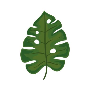 Güzel yeşil yaprak