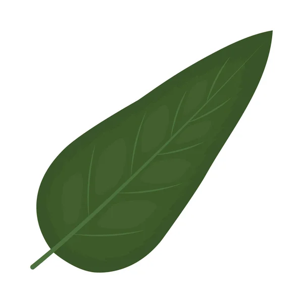 Cute leaf illustration — 图库矢量图片