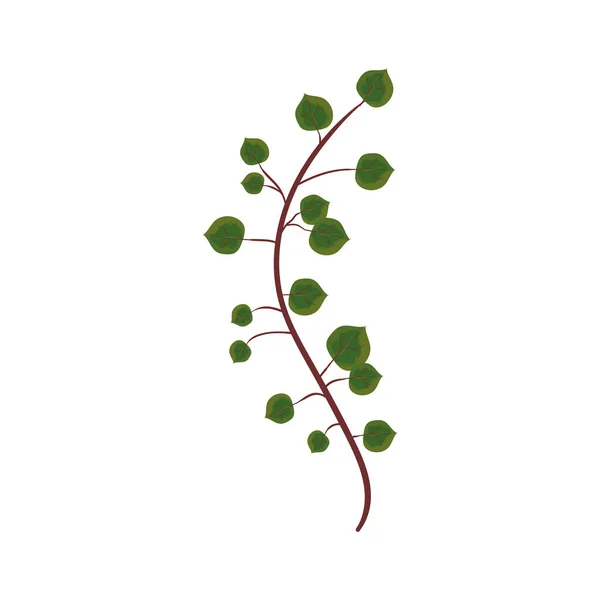Bello ramo vegetale — Vettoriale Stock