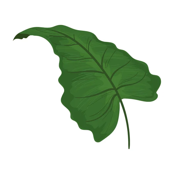 Довольно зеленый лист — стоковый вектор