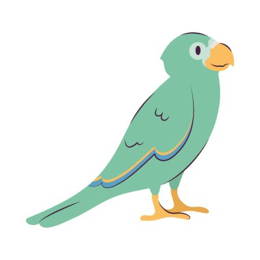 yeşil papağan tasarımı