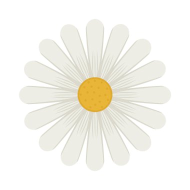 Şirin papatya tasarımı